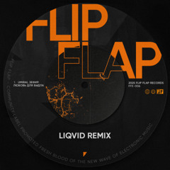 Любовь для быдла (LIQVID Remix)