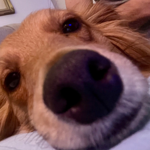 Umsonst aus jon-boj zauberhütte 10.Juli 25