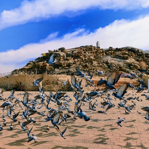 فضائل يوم عرفة | د. أحمد سيف الإسلام