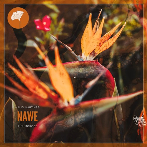 Walid Martinez Lin Njoroge - Nawe