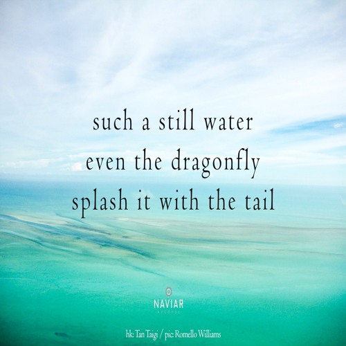 halF stilL [naviarhaiku399]