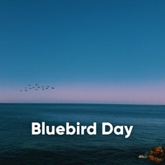Bluebird Day | Lo-Fi Beats & Chill Out