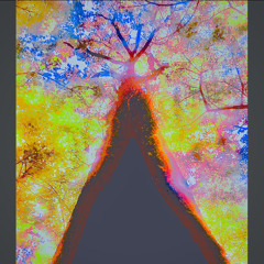 UltraTerrestrial