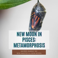 Sacred Sunday Session: New Moon In Pisces: Metamorphosis
