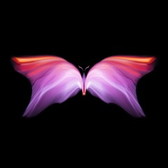 Vernissage • Vol 10 • Mon Papillon