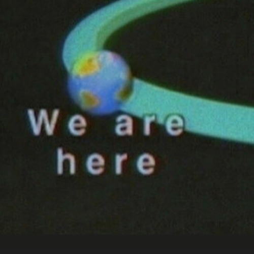 01. INTRODUCTION (prod woodpecker)