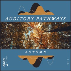 OUT NOW! Auditory Pathways - Autumn