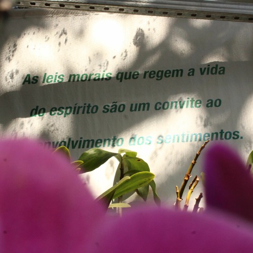 25.02.2022 - Cap. X - Bem Aventurados os Misericordiosos - Reconciliar-se com os Adversários (4)