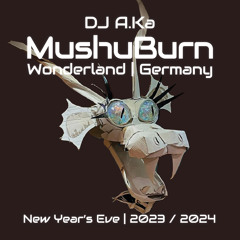 dj A.Ka @ MushuBurn | Wonderland Germany | New Year's Eve 2023-2024