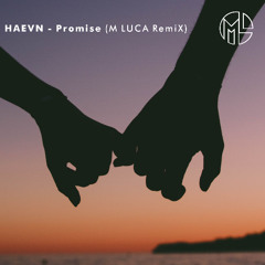 HAEVN - Promise (M LUCA RemiX)