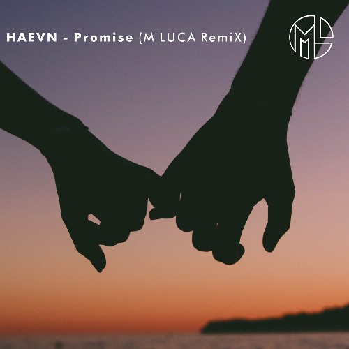 HAEVN - Promise (M LUCA RemiX)