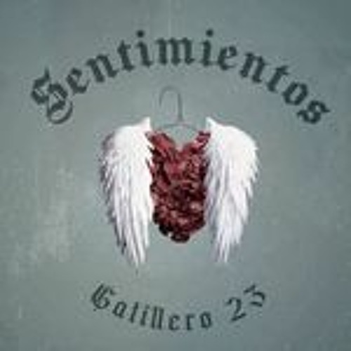 Gatillero 23 - Sentimientos