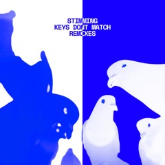 Keys Don't Match - Camulet & Vinzenz Schwarz Remixes
