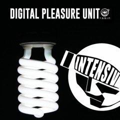 TSBiN - Digital Pleasure Unit (19.12.20)