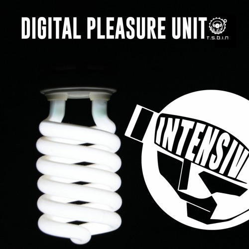 TSBiN - Digital Pleasure Unit (19.12.20)