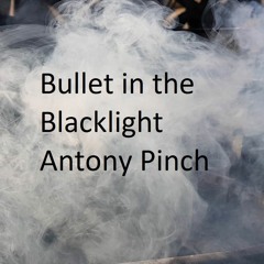 Bullet In The Blacklight Slightly Extended Edition