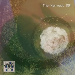 One Shot Only (Original Mix)