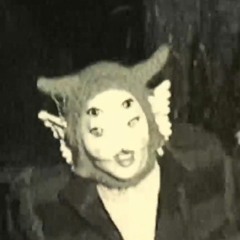 Void | Lalapalooza