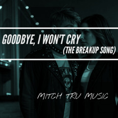 GOODBYE (I WON'T CRY)