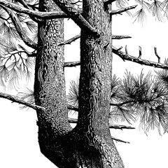 slow dance for the harvest sky