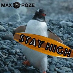 Stay High (MAX ROZE Remix)