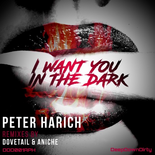 I Want You In The Dark [Aniche Remix)