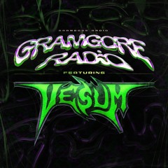 GRAMGORE RADIO MIX FT. VESUM