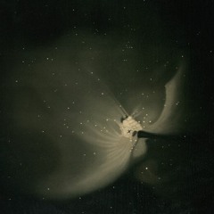 Estrella Fugaz (Señor Kino)