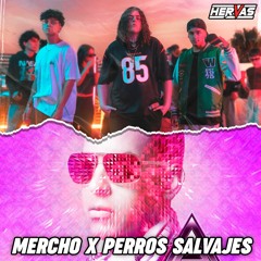 MERCHO x PERROS SALVAJES (Hervas Mashup) | Lil Cake, Migrantes, Daddy Yankee