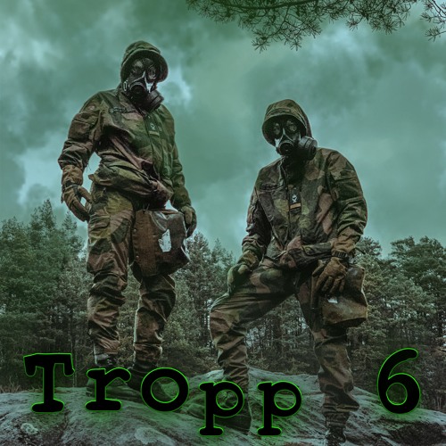 Tropp 6 - Nipros, Sørenes, Flaten Og Hauge