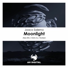 Joaco Salerno - Moonlight (Disto (SL) Remix)
