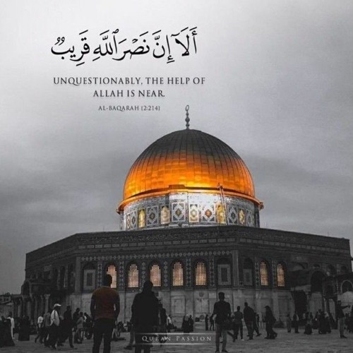 طيبي فِلسطينُ - علي حسانين كيوان.