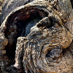 Sabine Vogel & Saskia Willinge - Time and Place