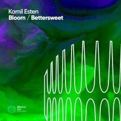 Kamil Esten - Bloom