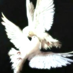 [free] type beat laylow x wit : ERR.EGRET