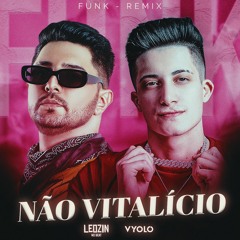 Matheus & Kauan, Mari Fernandez - Não Vitalício (LEOZINN NO BEAT & VYOLO) [Remix]