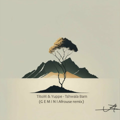 Titom & Yuppe - Tshwala Bam (GEMINI afrohouse remix)