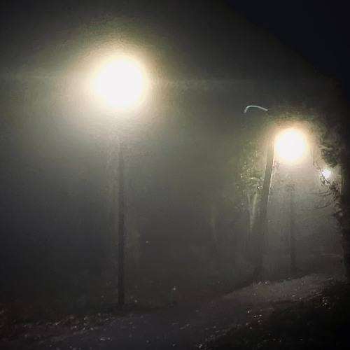 Are you even real or am I dreaming in a generated reality?