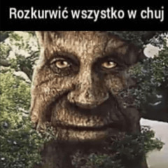 DRZEWO