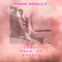 PINK MOLLY (PROD. BHEAVY) 2020