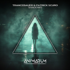Shadows (Extended Mix)