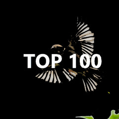 Top 100