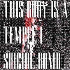 THIS BODY IS A TEMPLE I SUICIDE BOMB