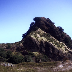 Shed Theory - Ferrari *2024*