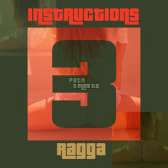 Pato Selekta x DJ Digital -Instructions 3 (ragga bass boosted)