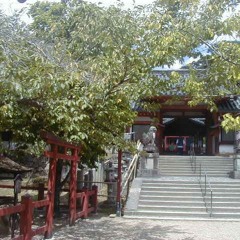 進化