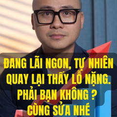 ĐANG LÃI NGON, TỰ NHIÊN QUAY LẠI THẤY GIẢM MẠNH. TÔI BIẾT TẠI SAO ĐẤY.