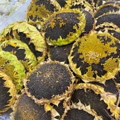 H&M Runway Collection