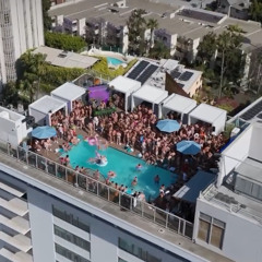 Laser Fox - Live @ Flag Day Pool Party, Hollywood Hills, CA 2025