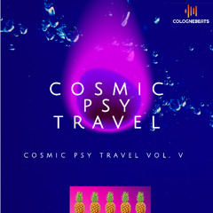 Cosmic Psy Travel V